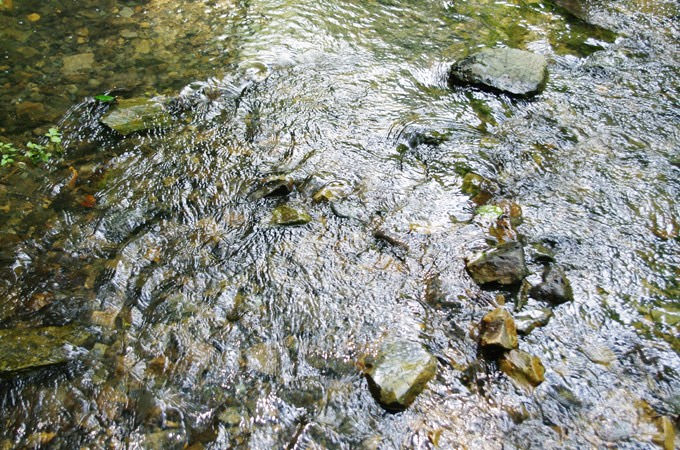 水面のギラつきなど、自然の中にも雑光が