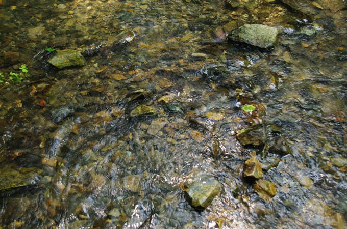 水面のギラつきなど、自然の中にも雑光が